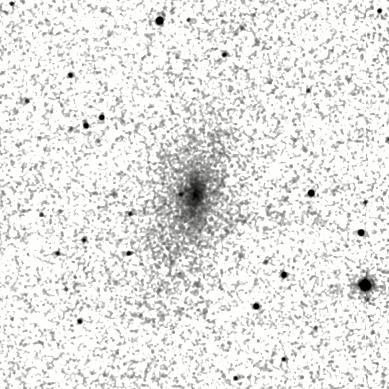 IRSA Image