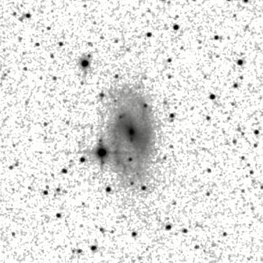 IRSA Image