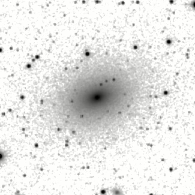 IRSA Image