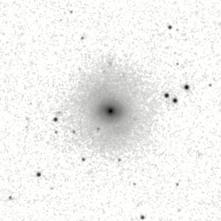 IRSA Image
