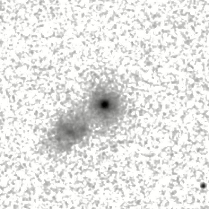 IRSA Image