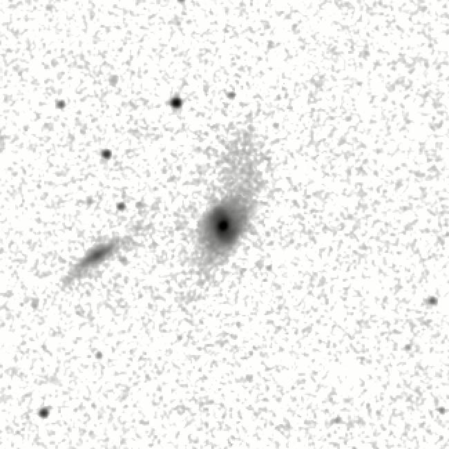 IRSA Image