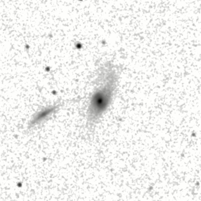IRSA Image