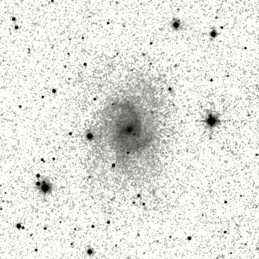 IRSA Image