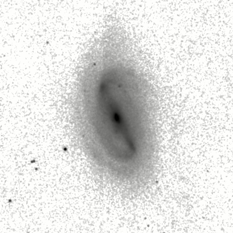 IRSA Image
