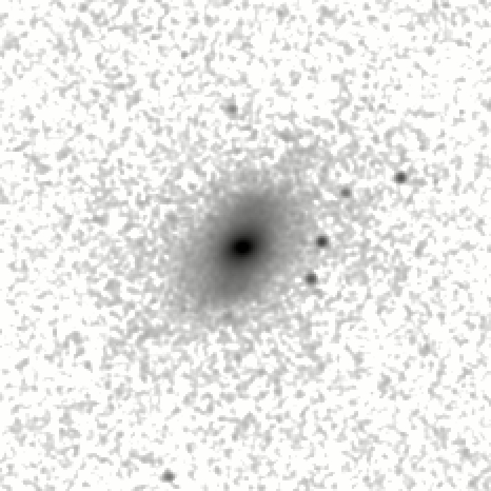 IRSA Image