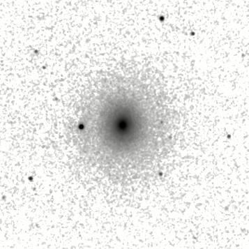 IRSA Image