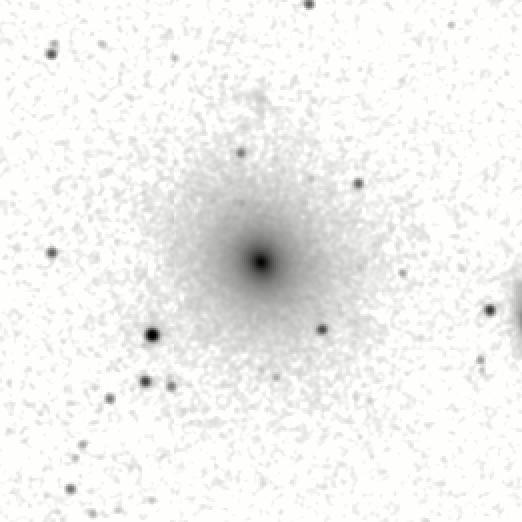IRSA Image