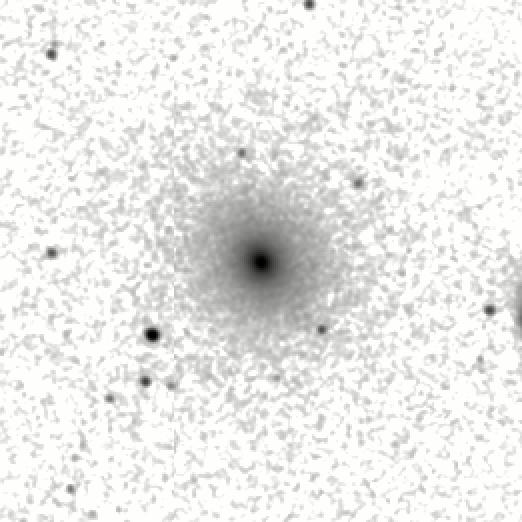 IRSA Image