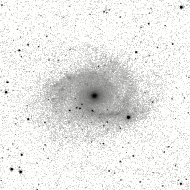 IRSA Image