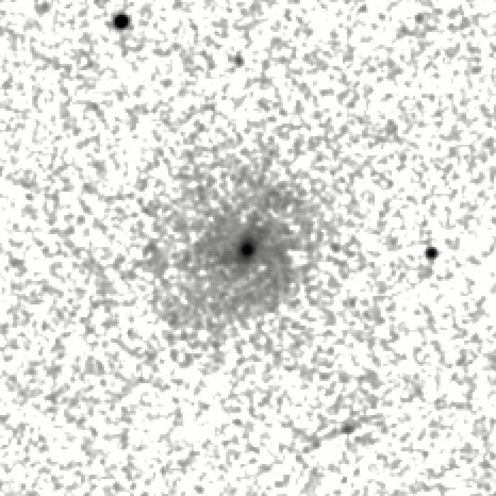 IRSA Image
