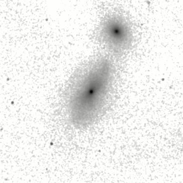 IRSA Image