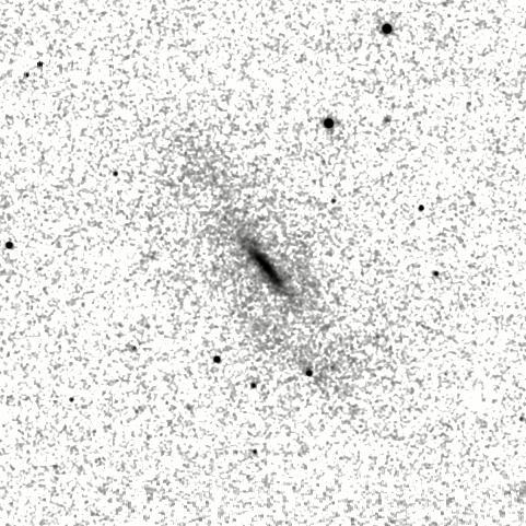 IRSA Image