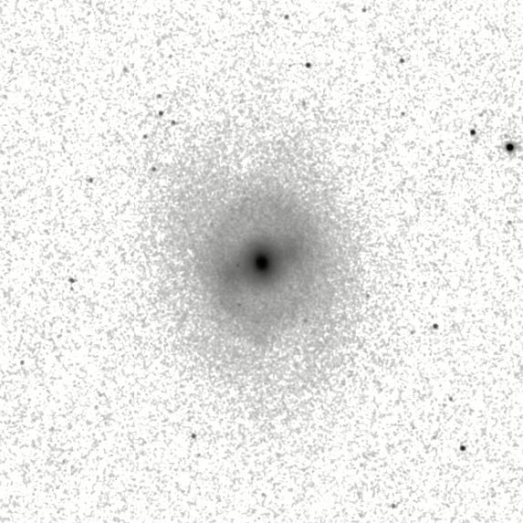 IRSA Image