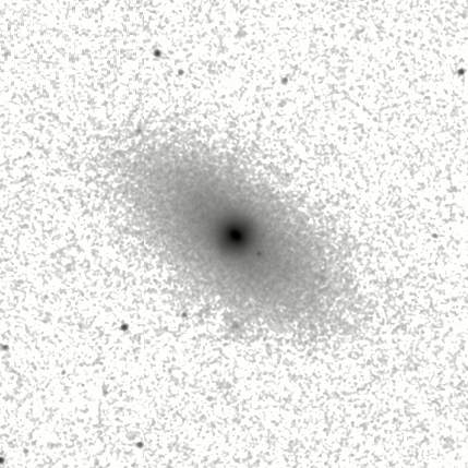 IRSA Image