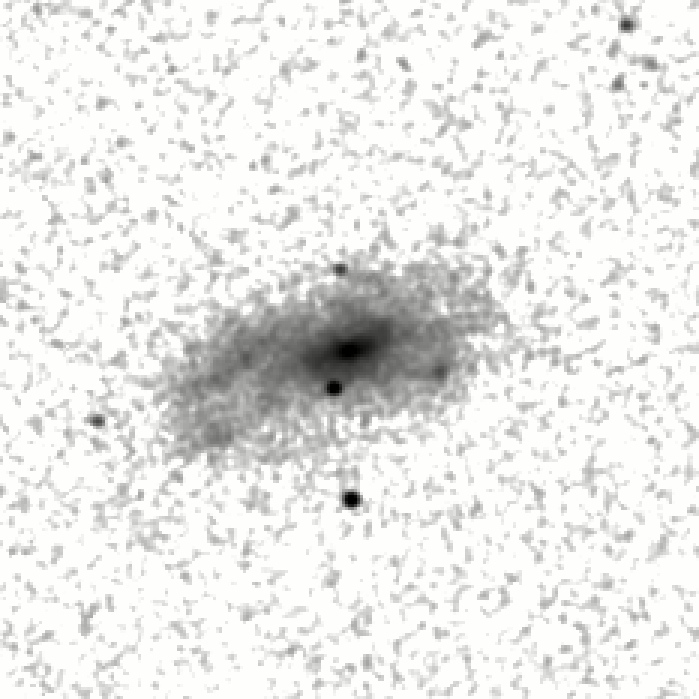 IRSA Image
