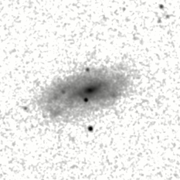 IRSA Image