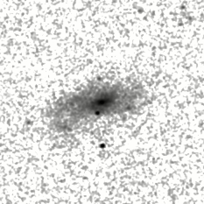 IRSA Image