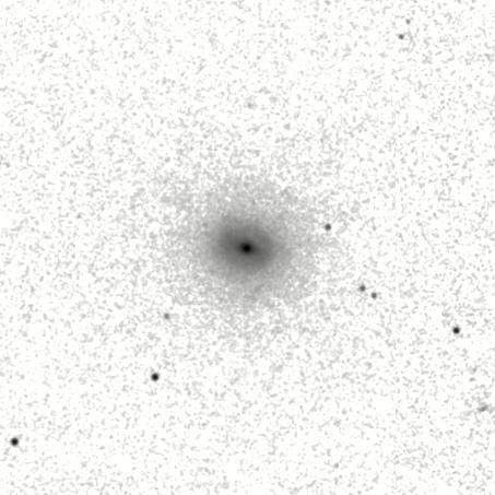 IRSA Image