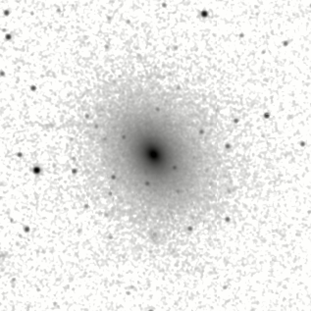 IRSA Image