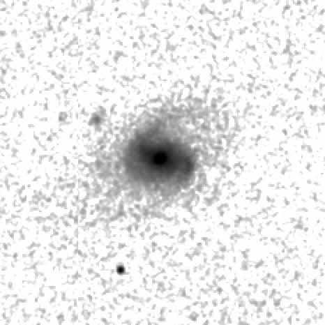 IRSA Image