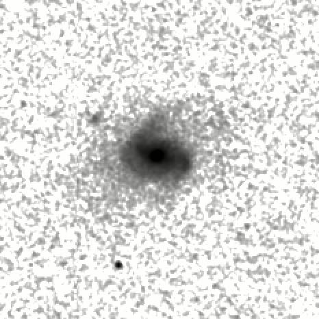 IRSA Image