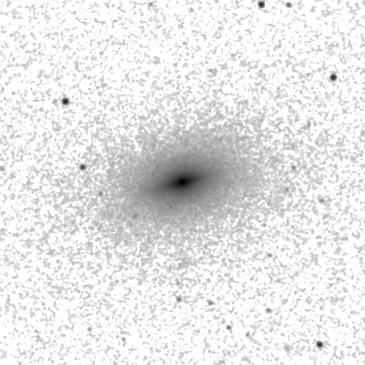 IRSA Image