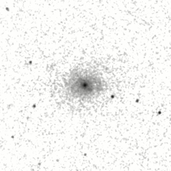 IRSA Image