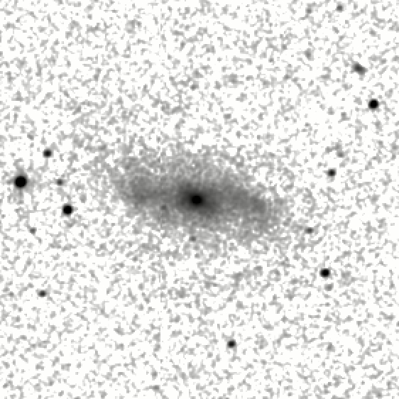 IRSA Image