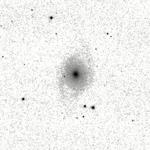 IRSA Image