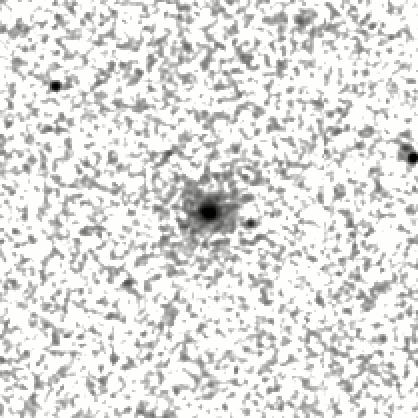 IRSA Image
