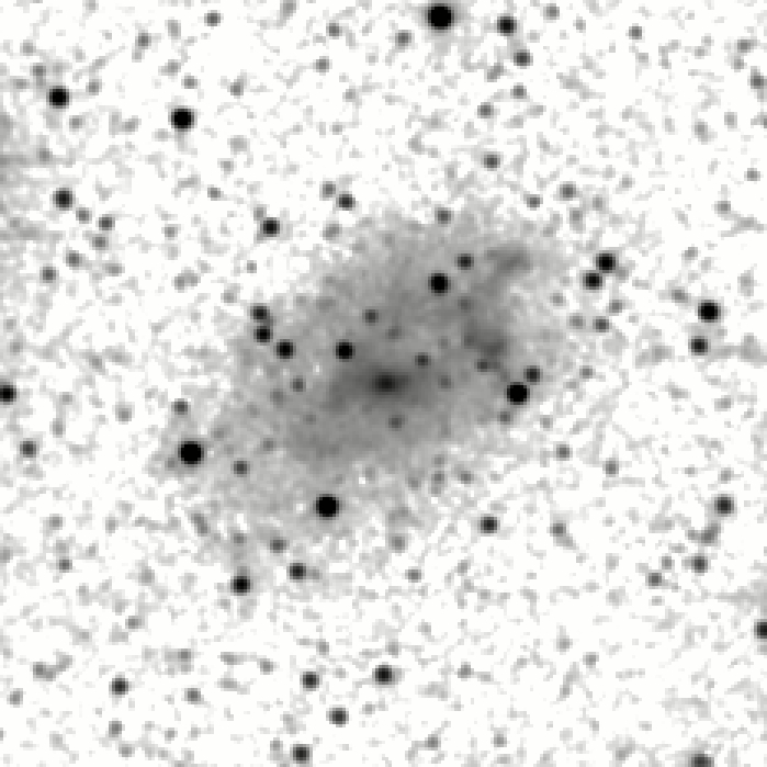 IRSA Image