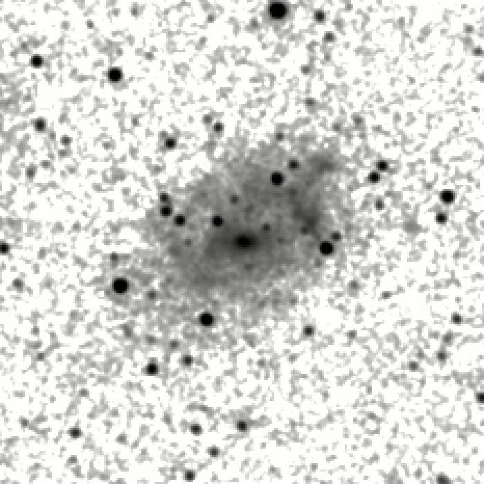 IRSA Image