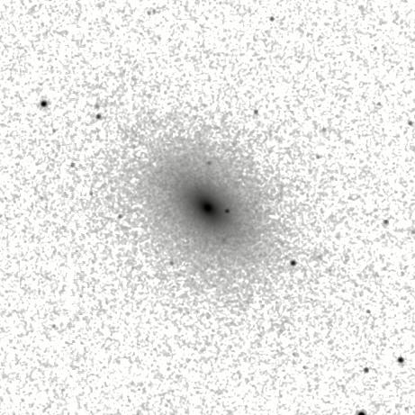 IRSA Image