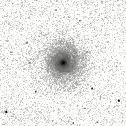 IRSA Image