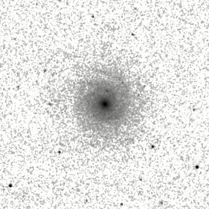 IRSA Image