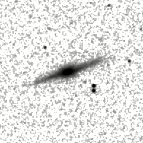 IRSA Image