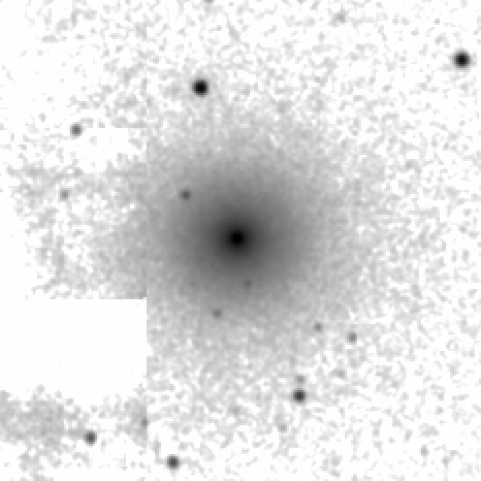 IRSA Image