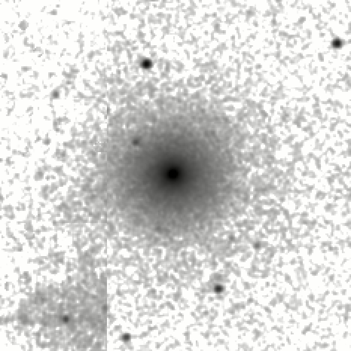 IRSA Image