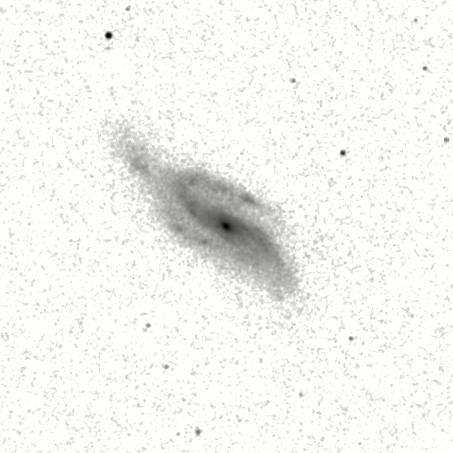 IRSA Image