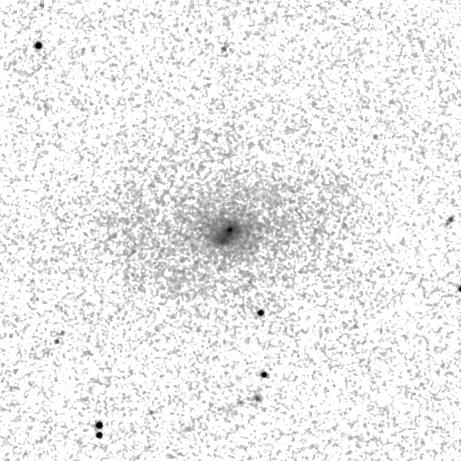 IRSA Image