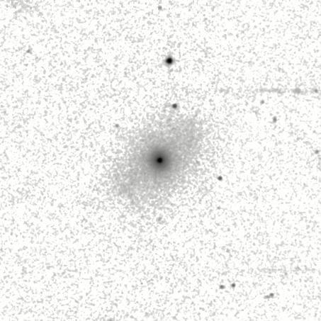 IRSA Image