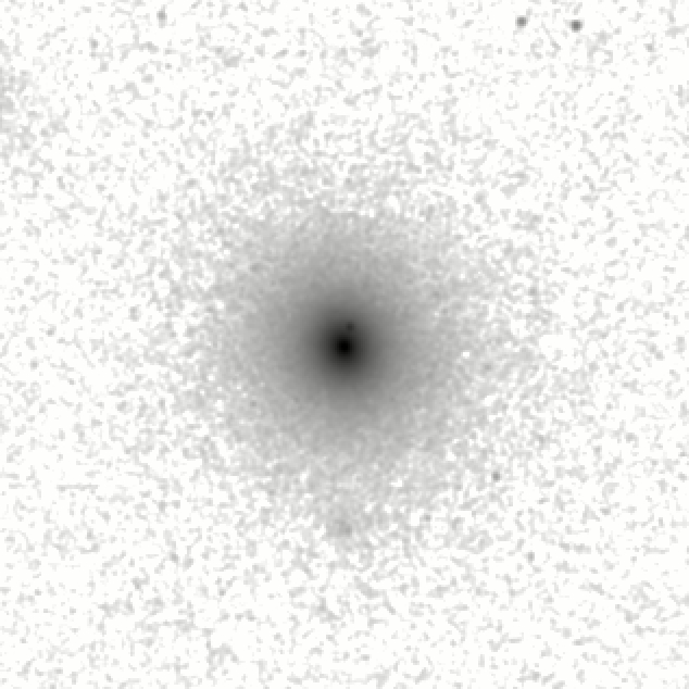 IRSA Image