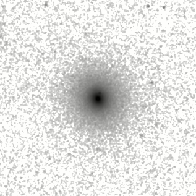IRSA Image