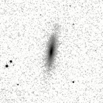 IRSA Image