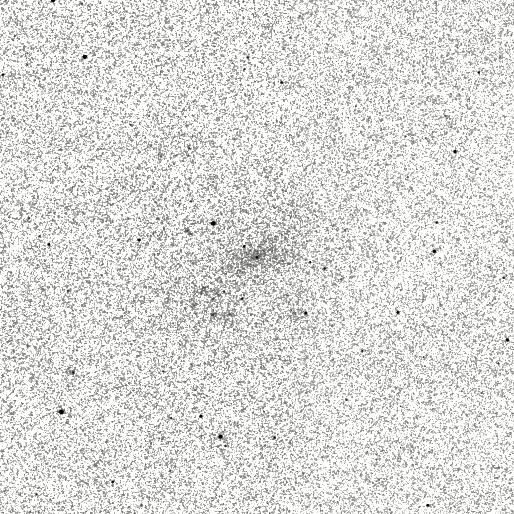 IRSA Image