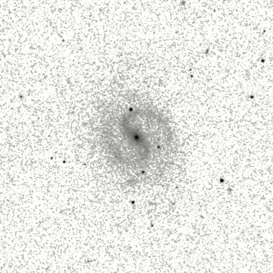 IRSA Image