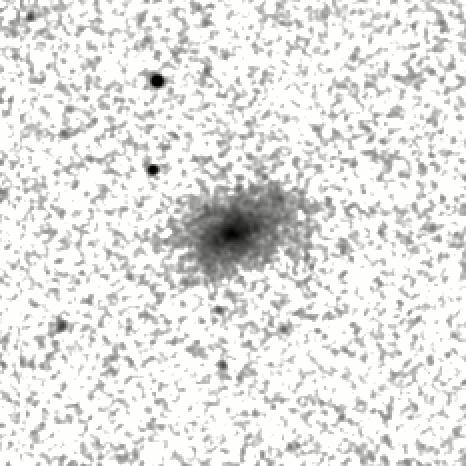 IRSA Image