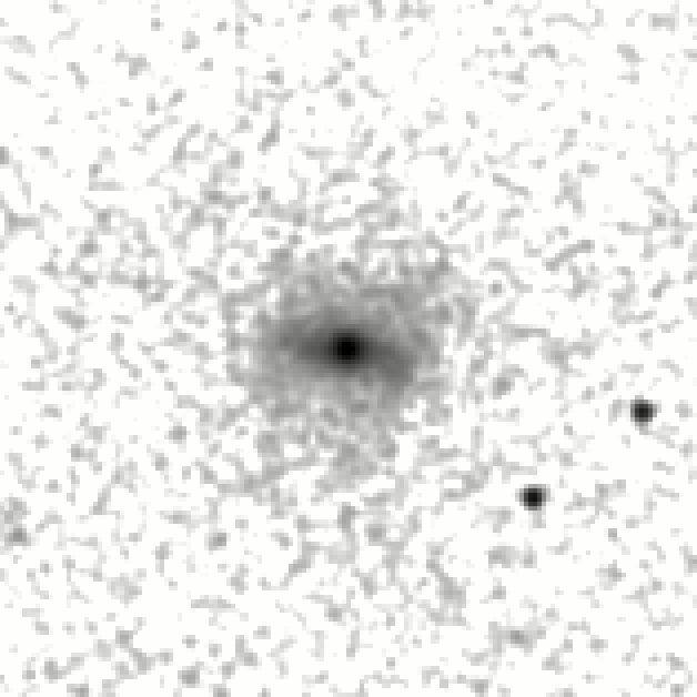 IRSA Image