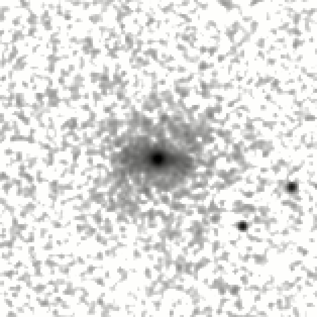IRSA Image